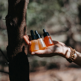Indian Sandalwood Face Oil for Sensitive Skin 10ml