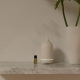 Sensational Set - Vanilla Diffuser and Sandalwood Essential Oil Blend