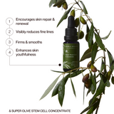 Super Stem Cell Concentrate