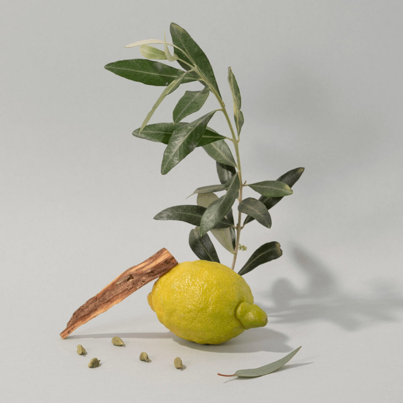 Olive Wood Hand Cream